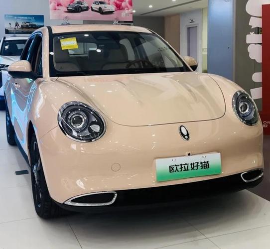 长城欧拉朋克猫2021款价格 长城欧拉朋克猫图片