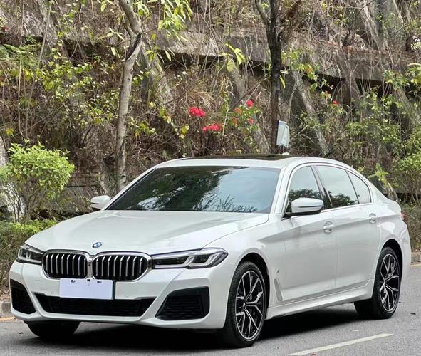 23款宝马5系图片(宝马5系2023款大改款)