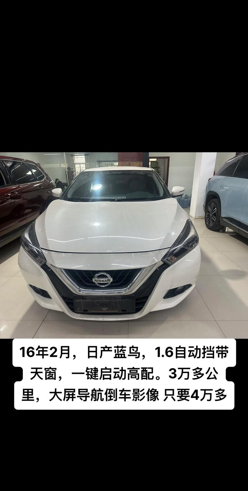 蓝鸟2023款报价及图片大全 蓝鸟新款价格