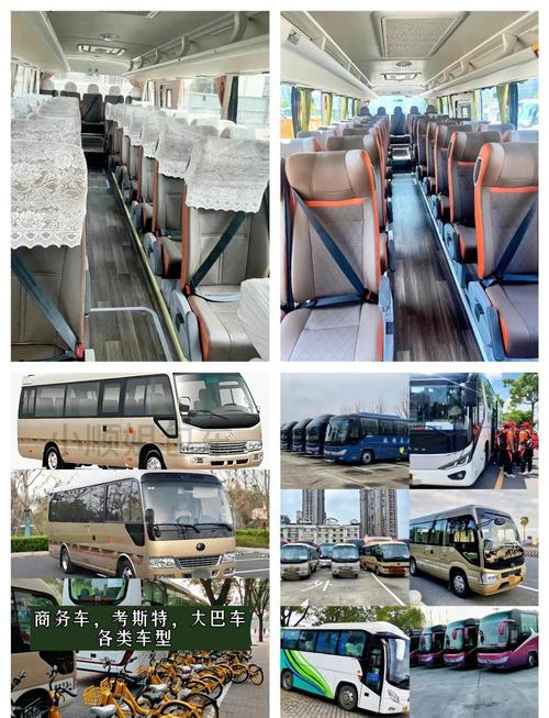 丰田考斯特中巴车19座参数,丰田考斯特中巴车19座价格表