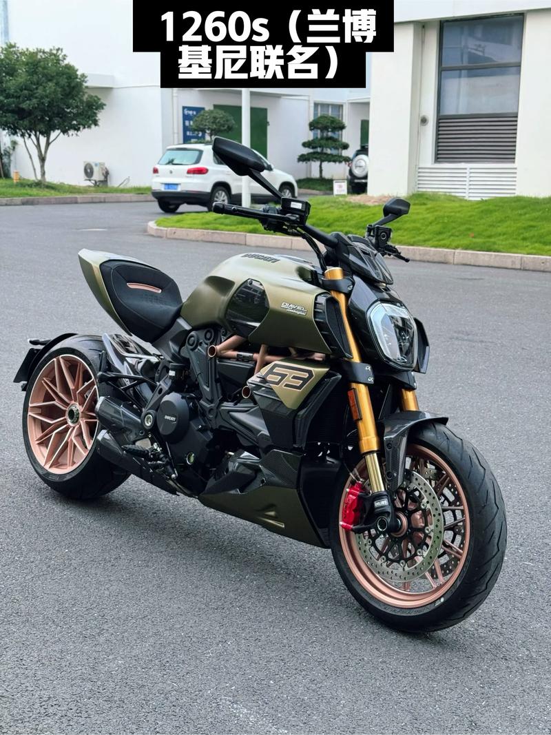 杜卡迪大魔鬼2022价格/杜卡迪大魔鬼2021款价格官网