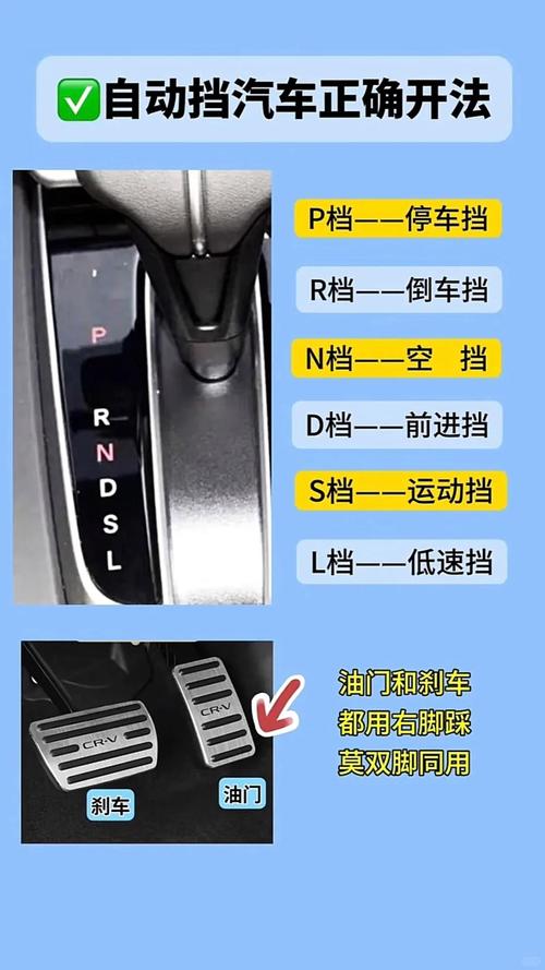 汽车档位介绍(汽车档位介绍图)