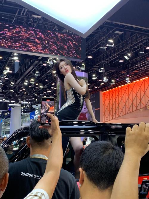 成都车展车模 成都车展车模动作争议背后