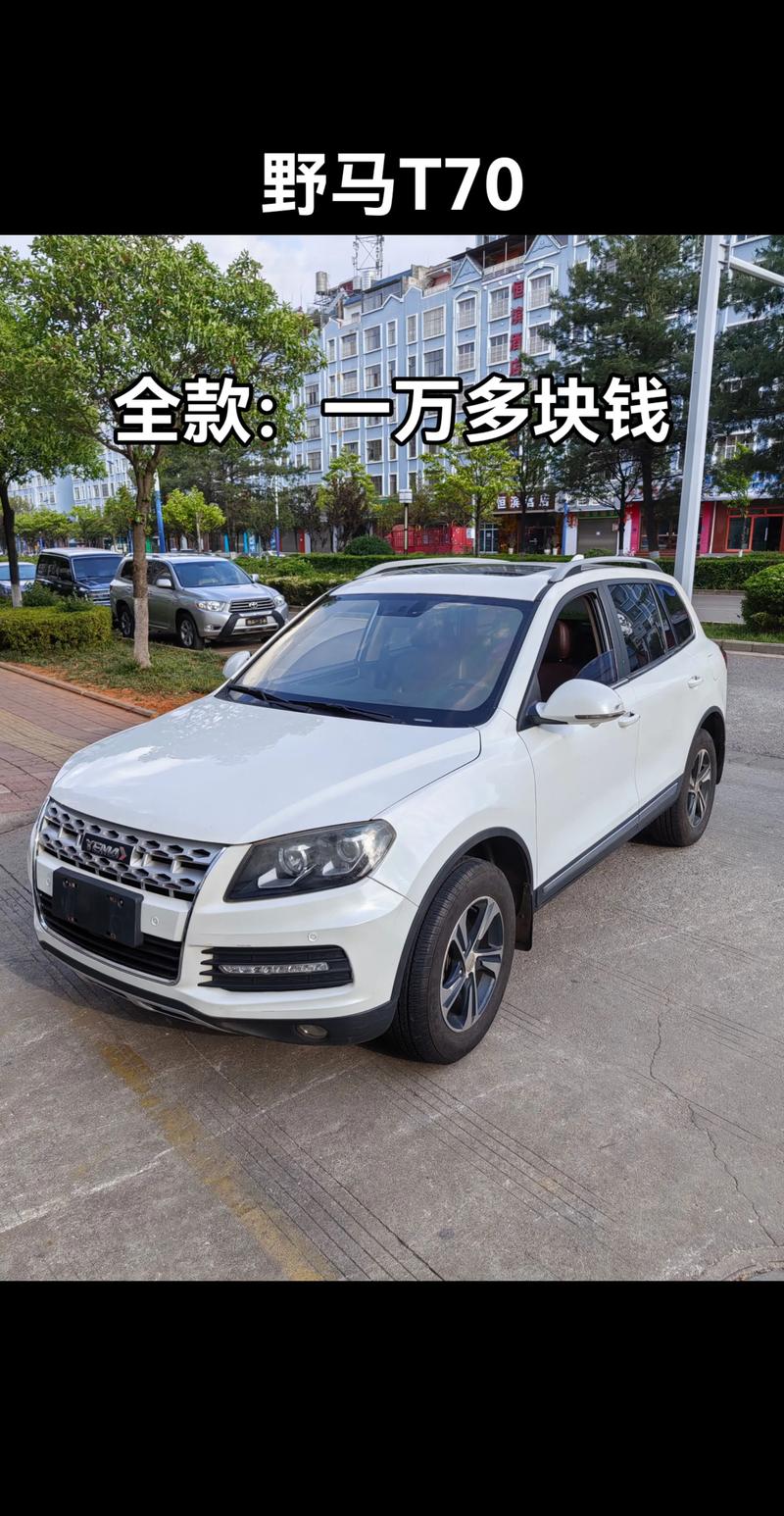 二手野马(二手野马保险费多少一年)