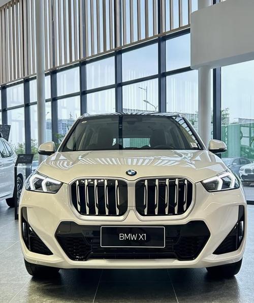 10万左右能买什么二手车(10万左右可以买到什么二手车)